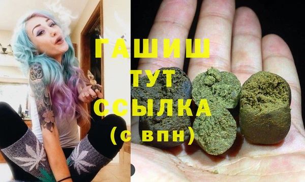 индика Алзамай
