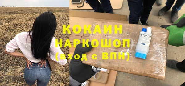 индика Алзамай