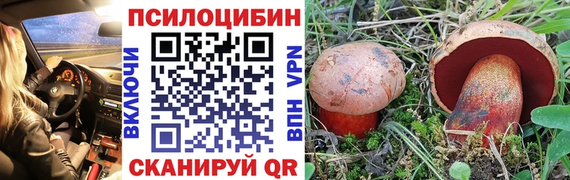 Галлюциногенные грибы Psilocybe  Амурск 